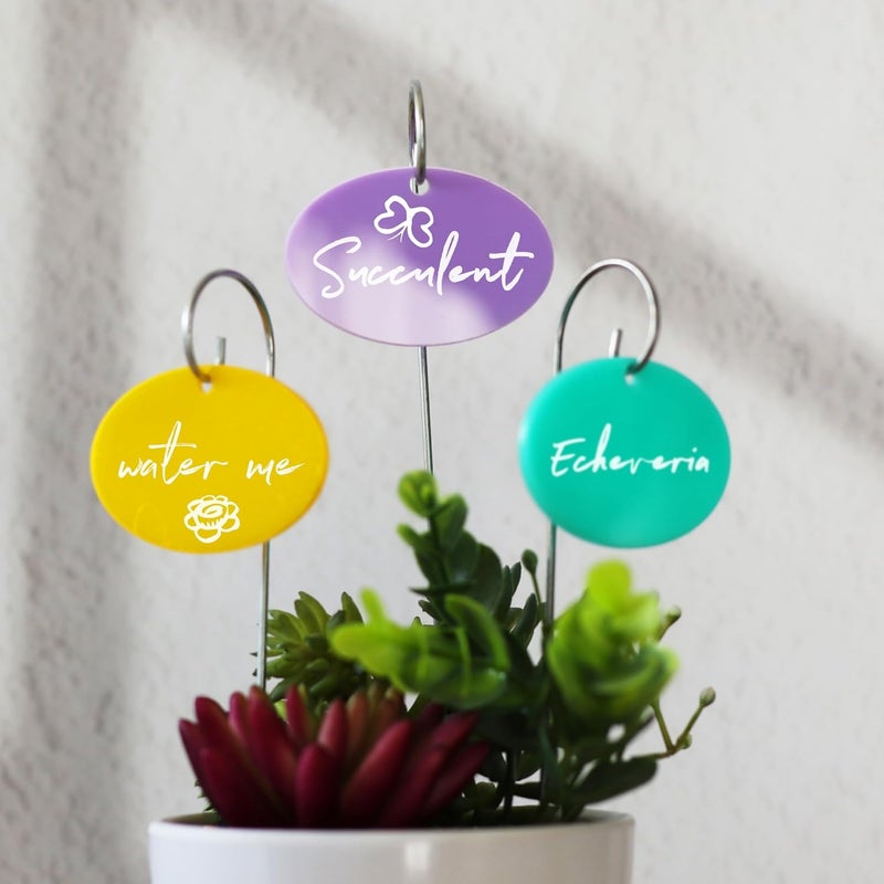 Temlum Plant Labels With Marker Pen, 25 Pcs Garden Markers Label Stakes Sign Tags for Outdoor Plants, Flowers, Herbs, Seed (Multicolor) - Image 4